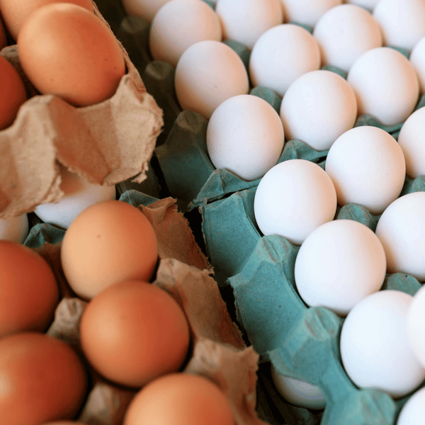 Huevos