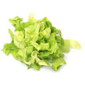 Ensalada lechuga escarola picada 300 Grs