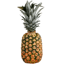 Piña caramelo Unidad