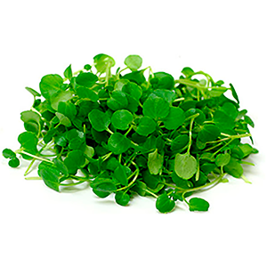 Berros 40 Grs