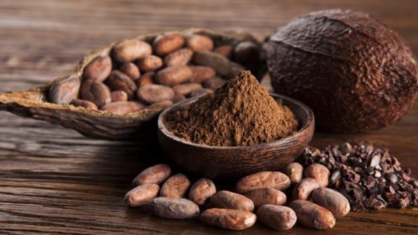 Cacao 250 Grs