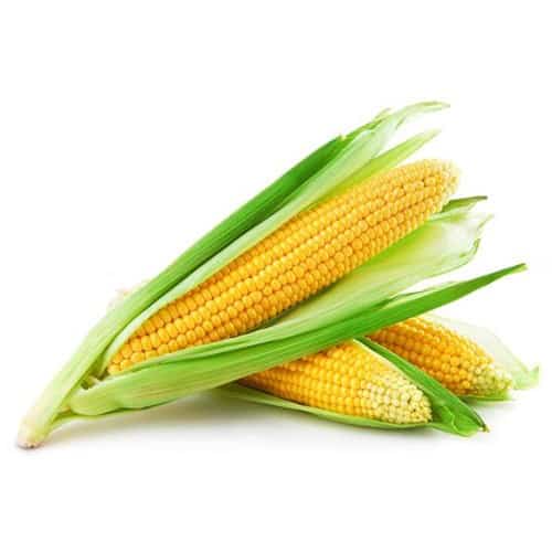 Choclo americano 2 Unidades