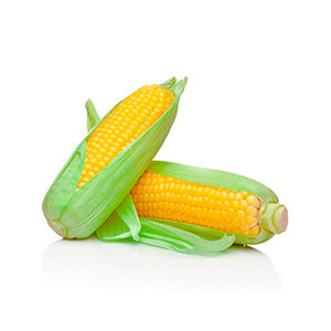 Choclo humero 3 Unidades