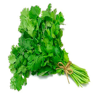 Cilantro Paquete