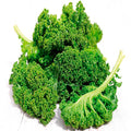 Kale Paquete