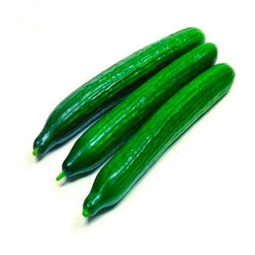 Pepino alaska Unidad