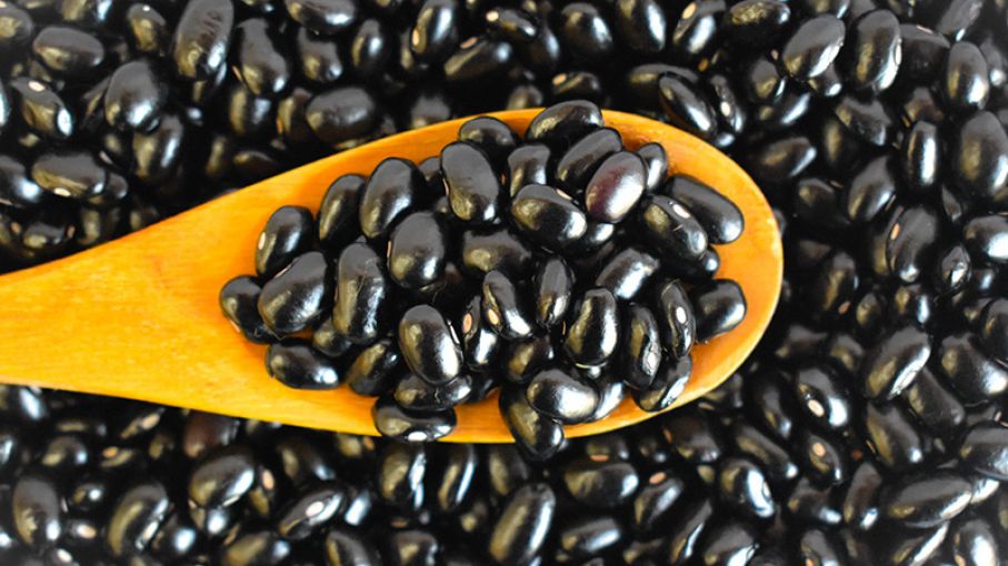 Poroto negro Kilo