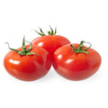 Tomate larga vida Kilo