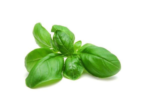 Albahaca Paquete