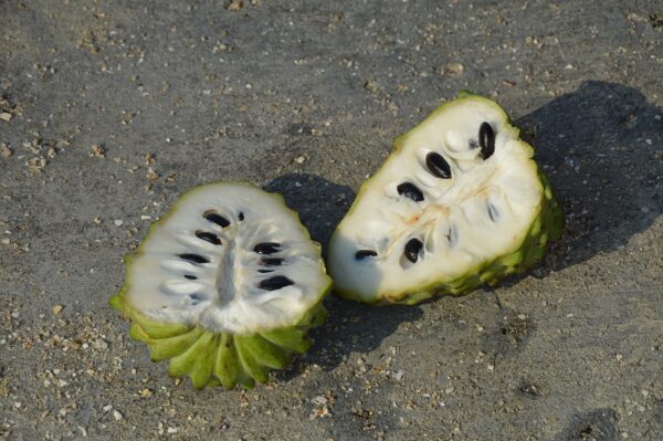 custard apple, fruit, tropical-257241.jpg